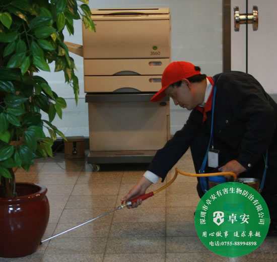 家庭殺蟲(chóng)滅鼠實(shí)用方法介紹－深圳卓安有害生物防治公司